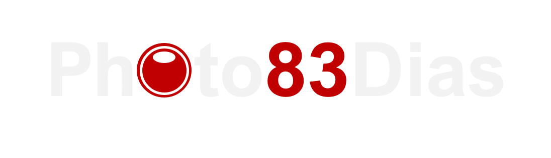 83dias - white